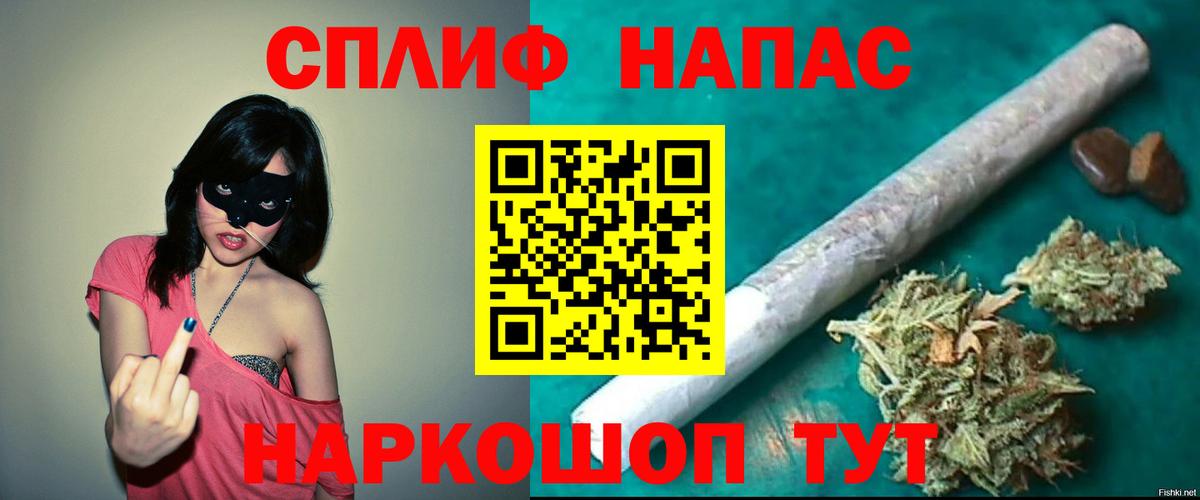 Шишки марихуана марихуана  МАРИХУАНА Bruce Banner  Вход с VPN  Пугачёв  Конопля сатива 